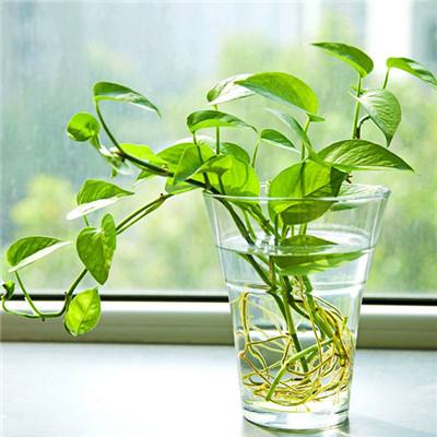 究极机甲暴龙内购破解版下载