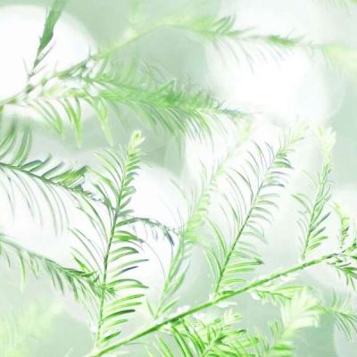复古迷你游戏竞技场游戏下载